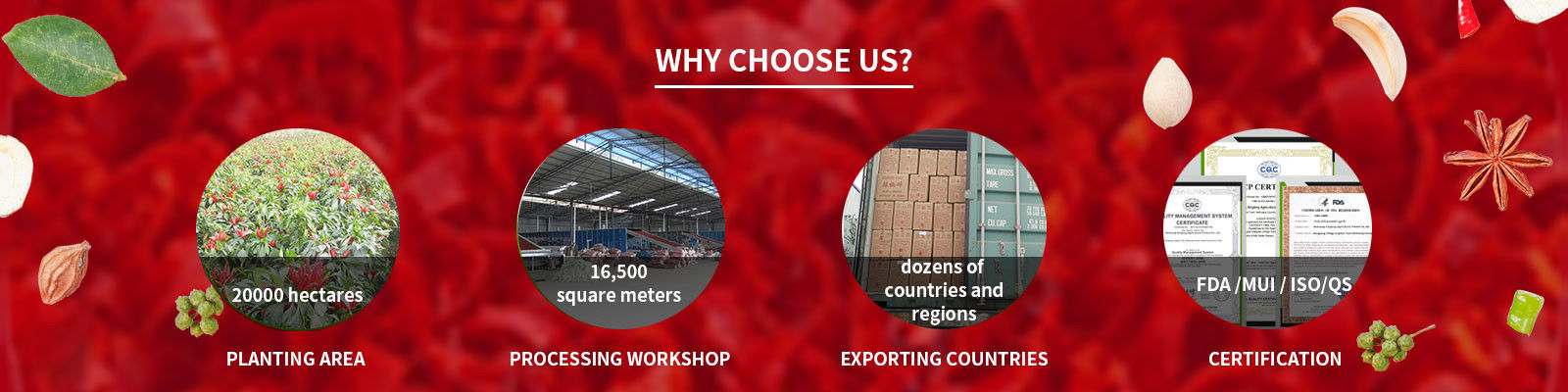 Papryka chili w proszku