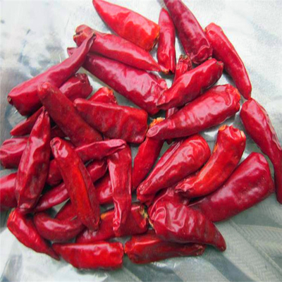 Okrągły 12% wilgoci Red Bullet Chilli Bezwodny HACCP z małym rozmiarem Hat King