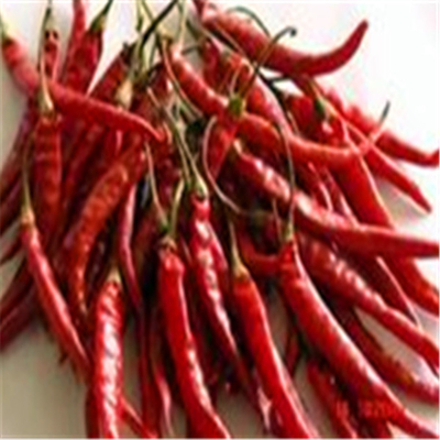 W powietrzu suszone Erjingtiao suszone chilli bez pni i wypełnione paprykami chili