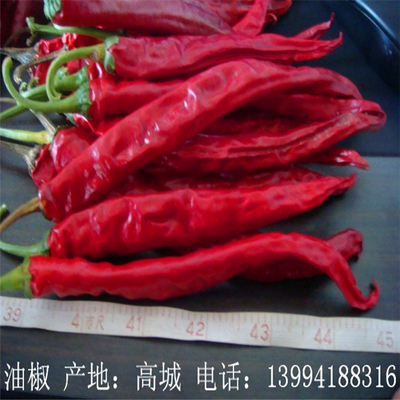 Autentyczne papryki chili Erjingtiao Suszone papryki chili z 8-12% wilgoci i suszone w powietrzu