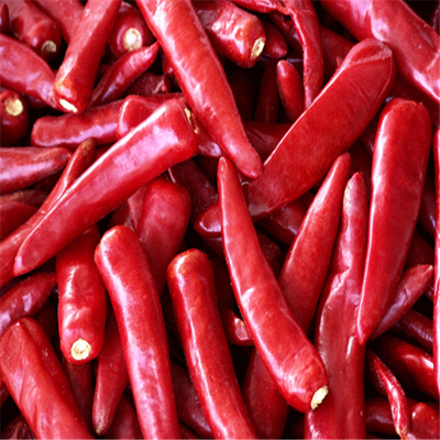Suszone papryki chilli bogate w niezbędne witaminy i minerały