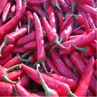 Erjingtiao Pepper Ingredients Chili Peppers Hot 8000-12000shu dla wymagań klientów