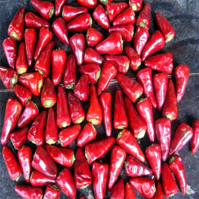 2% Maksymalny współczynnik złamania Wysuszone na powietrzu czerwone chilli z pobranymi próbkami i przewozem