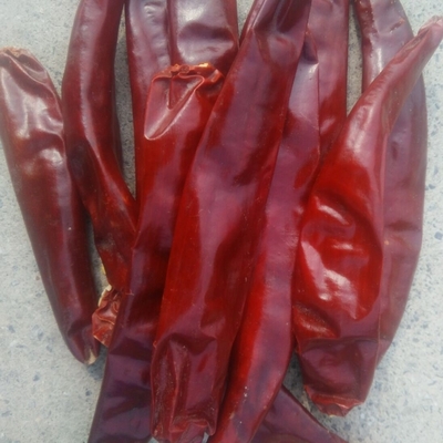 8% wilgoć Chilli Ring Cut Silny ostry smak chili Wysoko wypolerowany 0,5 - 1,5 cm