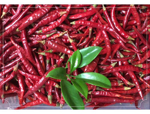 Bogate w wapń suszone chilli do śmiałych i pikantnych kreacji kulinarnych