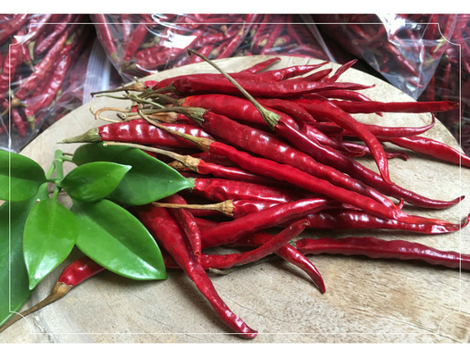 Bogate w wapń suszone chilli do śmiałych i pikantnych kreacji kulinarnych