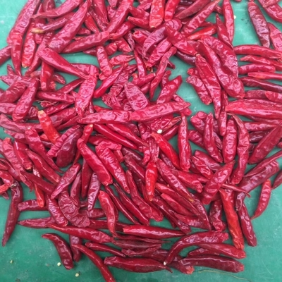 FDA AB Miękki Czerwony pieprz Chili Powder 100g Suche und kühle Stelle