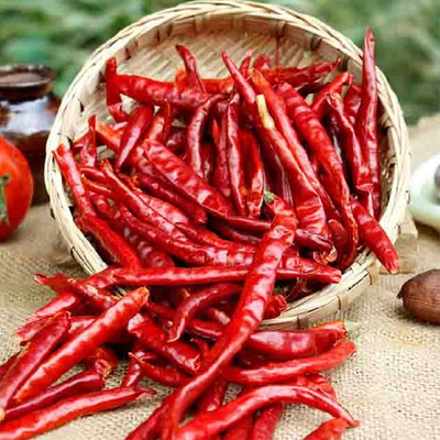 7-19 cm długości Chilli odwodniające z vakuum zamkniętym opakowaniem