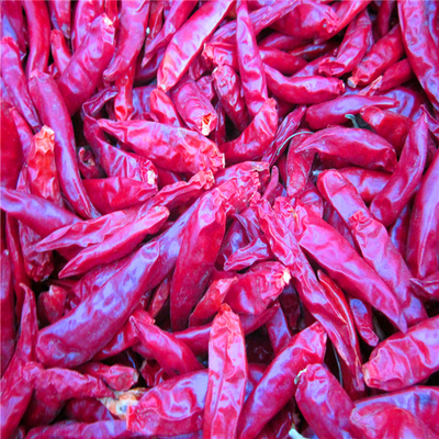 4-7cm Cayenne Suszone czerwone papryki chili Warunki przechowywania