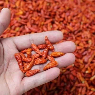 Opakowania workowe dla suszonych chilli z oczu ptaków wielkość 1 kg HACCP