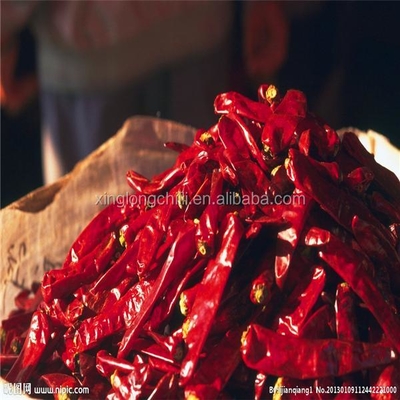7-15cm Czerwony Yidu Chili Charakterystyczne smaki O wadze netto 200g