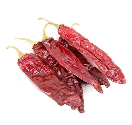 W kształcie pałeczki Czerwona Guajillo Chilis Stopień A 10-15 cm Rozmiar