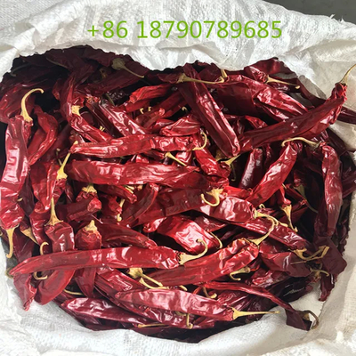 1% zanieczyszczenia naturalne czerwone delikatnie suszone papryki chili na życzenie klienta