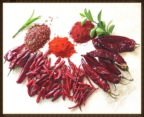 Wilgotność 8%-12% Suszone Guajillo Chili Czerwony Cały