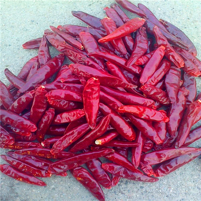 Tianjin Red Chili z witaminą C, uprawiane na polach chili w Tianjin w temperaturze pokojowej