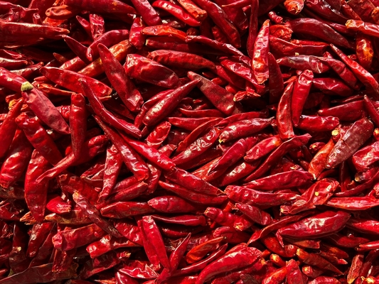 Szefowie kuchni uwielbiają pikantne suszone ptasie oko chili