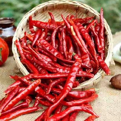 Czerwona papryka, przyprawa chili i proszek do przyprawy, dla waszego doskonałego doświadczenia gastronomicznego.