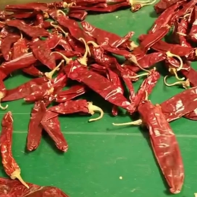 Jedynka ziołowa i przyprawa na suszone papryki paprykowe dla potrzeb biznesowych