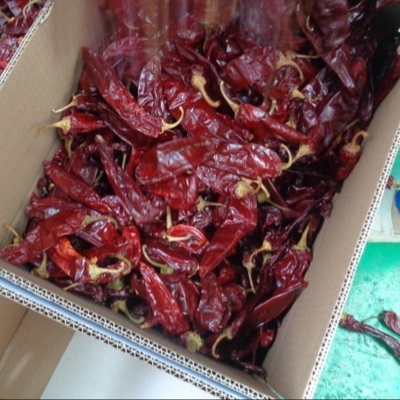Składniki Paprika pieprz Chili Capsicum Xinjiang Chili Stopień ostrości 500SHU