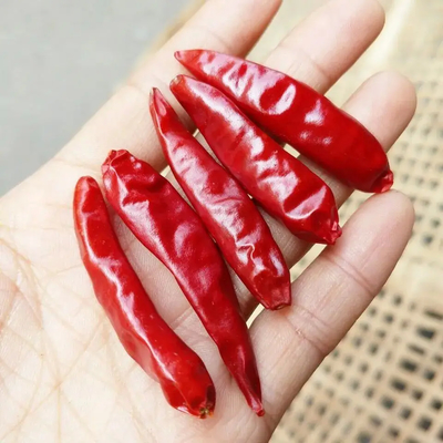 Red Bullet Chili z kapeluszem do suszenia przemysłowego