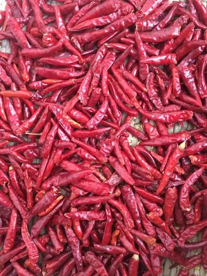 Wysoka pikantna suszona czerwona papryka chili bez łodyg z atestem halal