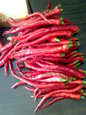 8000-12000shu Erjingtiao Suszona papryczka chilli Umiarkowana pasta z fasoli chili Zastosowanie