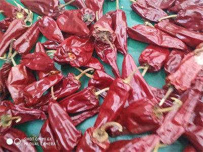 Klasa A 3000-5000shu Jinta Chilli Pepper o słodkim smaku