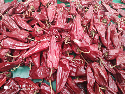 8000 SHU Yidu Chili Ostry Smak Chilli Beijinghong Jinta Chilli