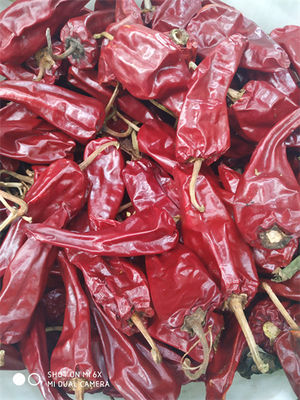 5000SHU Łagodne suszone chili łodygi klasy A suszone czerwone strąki chili