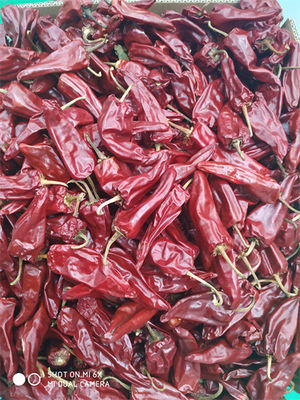 8000 SHU Yidu Chili Ostry Smak Chilli Beijinghong Jinta Chilli