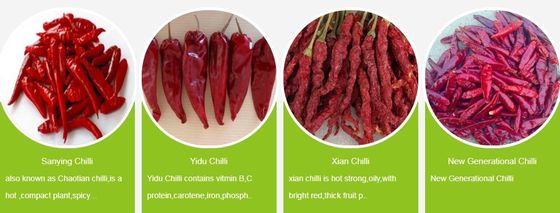 2% Maksymalny współczynnik złamania Wysuszone na powietrzu czerwone chilli z pobranymi próbkami i przewozem