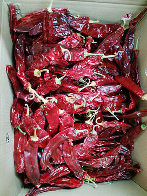 Odwodniona papryka słodka papryka nienapromieniowana suszona czerwona papryka chili 140 atsa