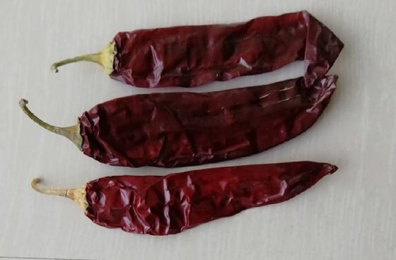 Czerwona suszona paprika papryki przyprawy i przyprawy w proszku dla żywności