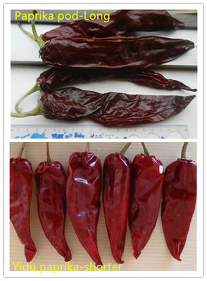Bez łodyg Yidu Chili 10cm-15cm Czerwona papryka Jinta Chilli