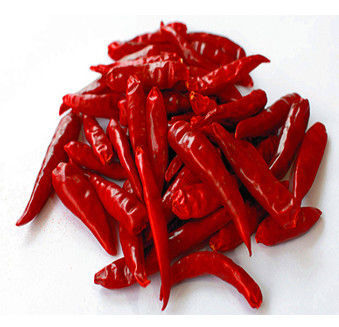 8% wilgoci Tianjin Red Chili Bez dodatku Surowe suszone chińskie chili