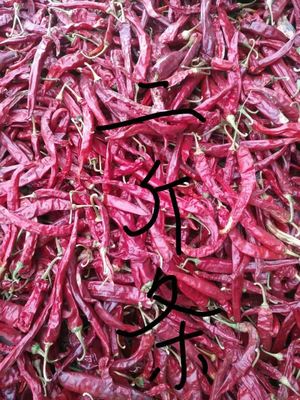 Bezłodygowe Erjingtiao Suszone Chili Sterylizowane Całe Chilli Ostre