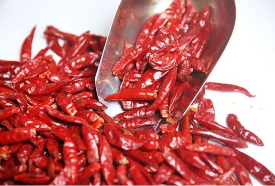 Certyfikowana przez HALAL 12% suszona na mokro czerwona papryka chili Capsicum