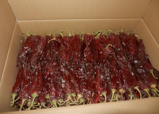 Nienapromieniowane łagodne suszone czerwone papryczki chili łodygi chili bez dodatku