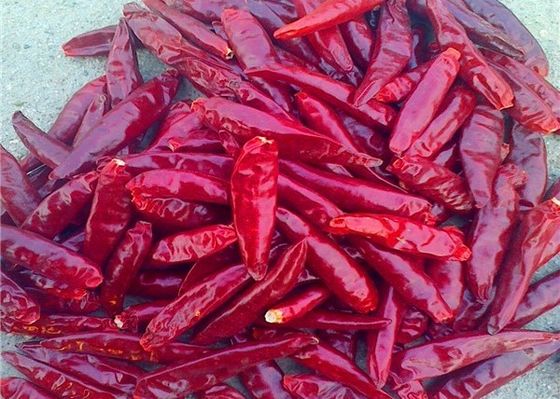 Sanying Odwadniająca Ostra Papryka Mala Suszona Całe Chilli KOSHER