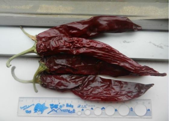 19 cm Gładka tekstura Słodki paprika pieprz pojedyncze zioła Przyprawy