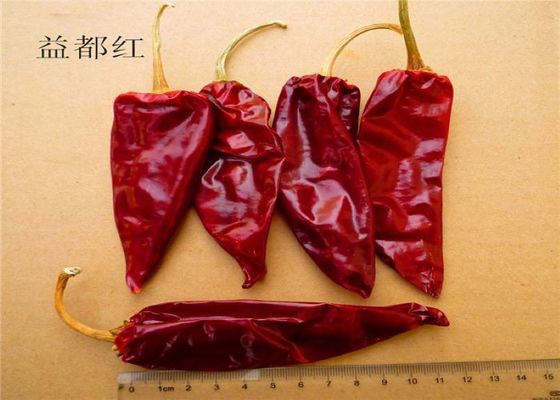 Suszone długie czerwone chilli bez łodygi 3000SHU Red Chili w strąkach KOSHER