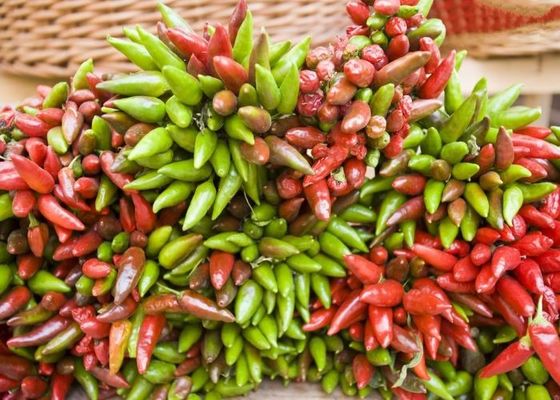 Czerwony suszony ptasie oko chili dostarcza witaminy A witaminy C żelazo / wapń- 1 kg