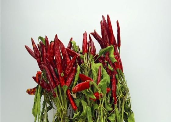 Tianjin Suche czerwone chili Całe bezwodne suszone czerwone chili bez pestek strąki