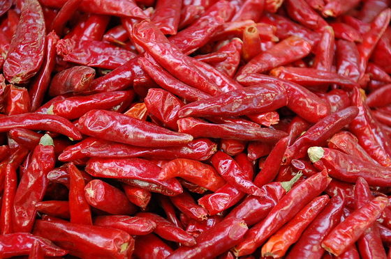 8% wilgoci Tianjin Red Chili Bez dodatku Surowe suszone chińskie chili