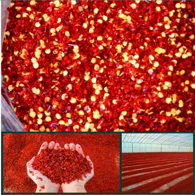 Suszone kruszone papryczki chili 5 mm czerwone płatki chili 8 oczek