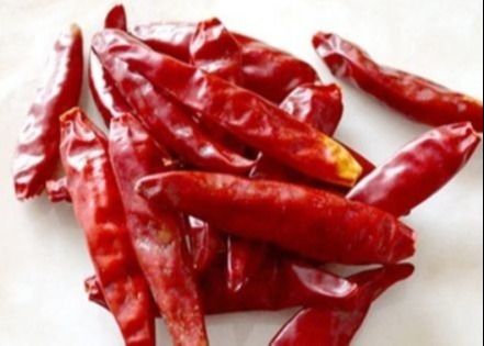 Tientsin suszone chilli suszone na słońcu bez łodyg pikantna czerwona papryka