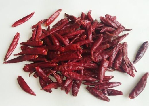Stemless Tianjin Red Chilies Grade A Tientsin Suszone Czerwone Chile Strąki