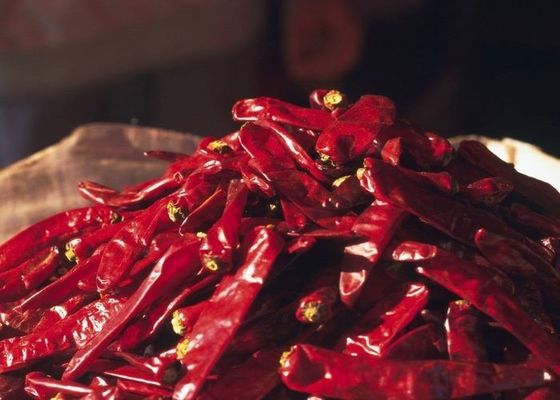 Autentyczne papryki chili Erjingtiao Suszone papryki chili z 8-12% wilgoci i suszone w powietrzu