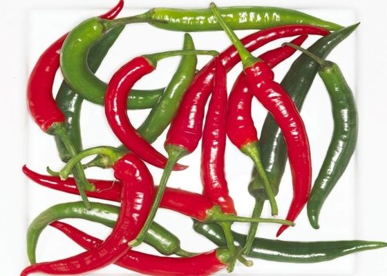W powietrzu suszone Erjingtiao suszone chilli bez pni i wypełnione paprykami chili
