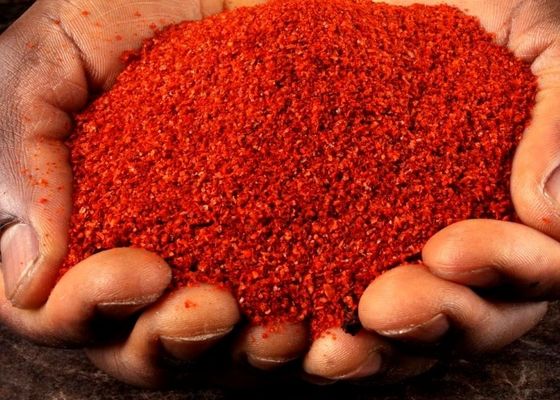 Bezpłatna dostawa wszechstronna Red Chili Pepper Powder dla restauracji